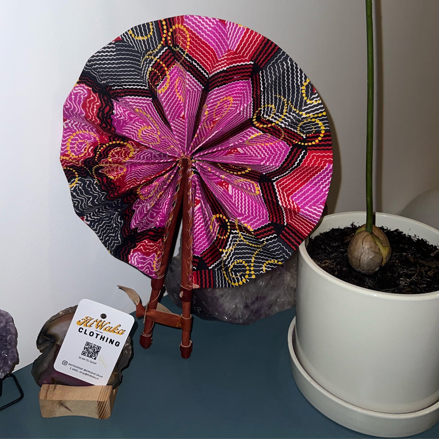 Afrikaanse Waaier 'Dragonfruit'