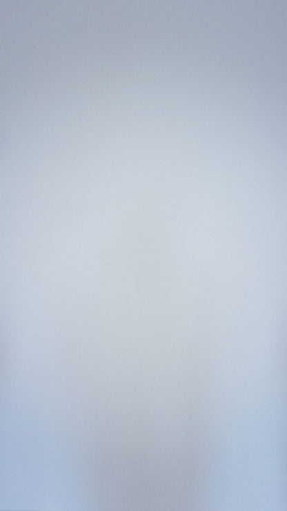 Surinaamse Wapen Hoodie Kids