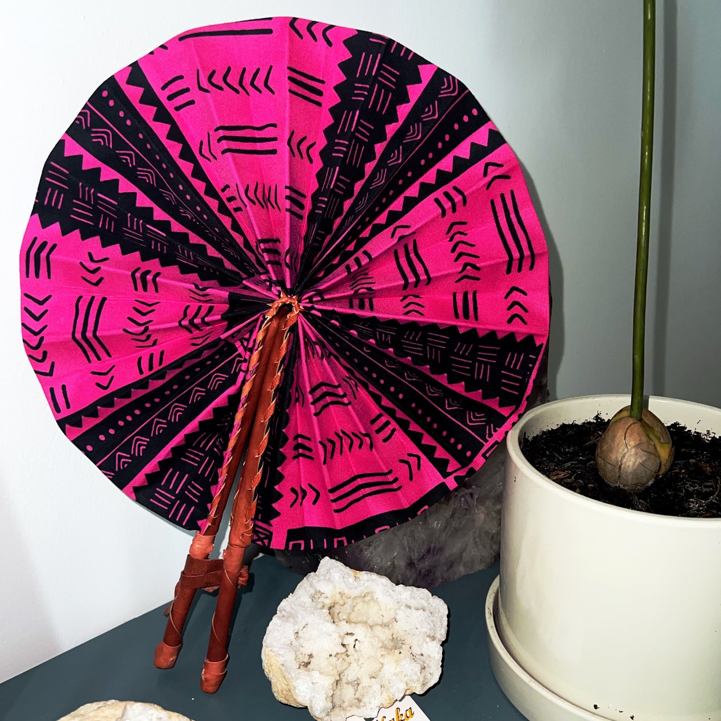 Afrikaanse Waaier 'Switie'